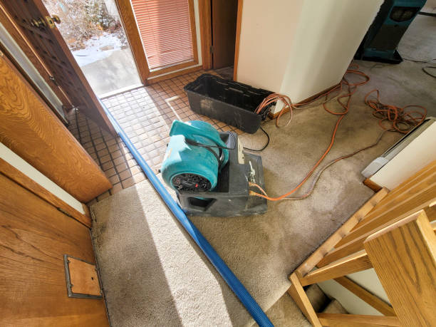 Best Water damage cleanup near me  in Piedmont, SD