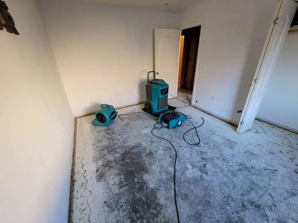 Best Professional water damage repair  in Piedmont, SD