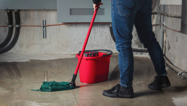 Best Water damage contractors near me  in Piedmont, SD