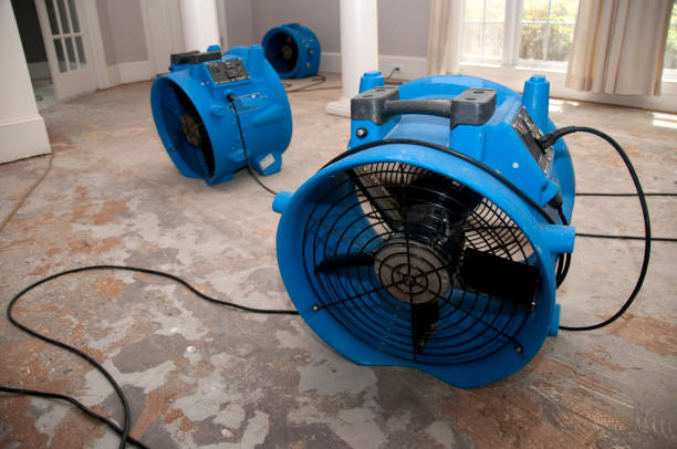 Best Residential water damage restoration  in Piedmont, SD