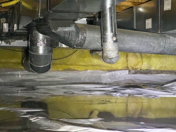 Best Flood damage cleanup  in Piedmont, SD