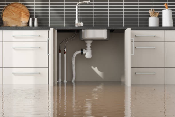 Piedmont, SD Water damage restoration Company