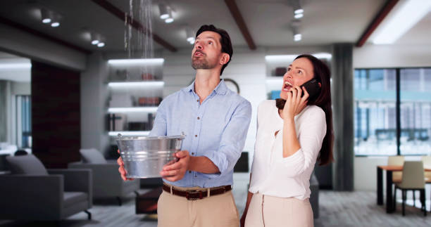 Best Basement water damage restoration  in Piedmont, SD